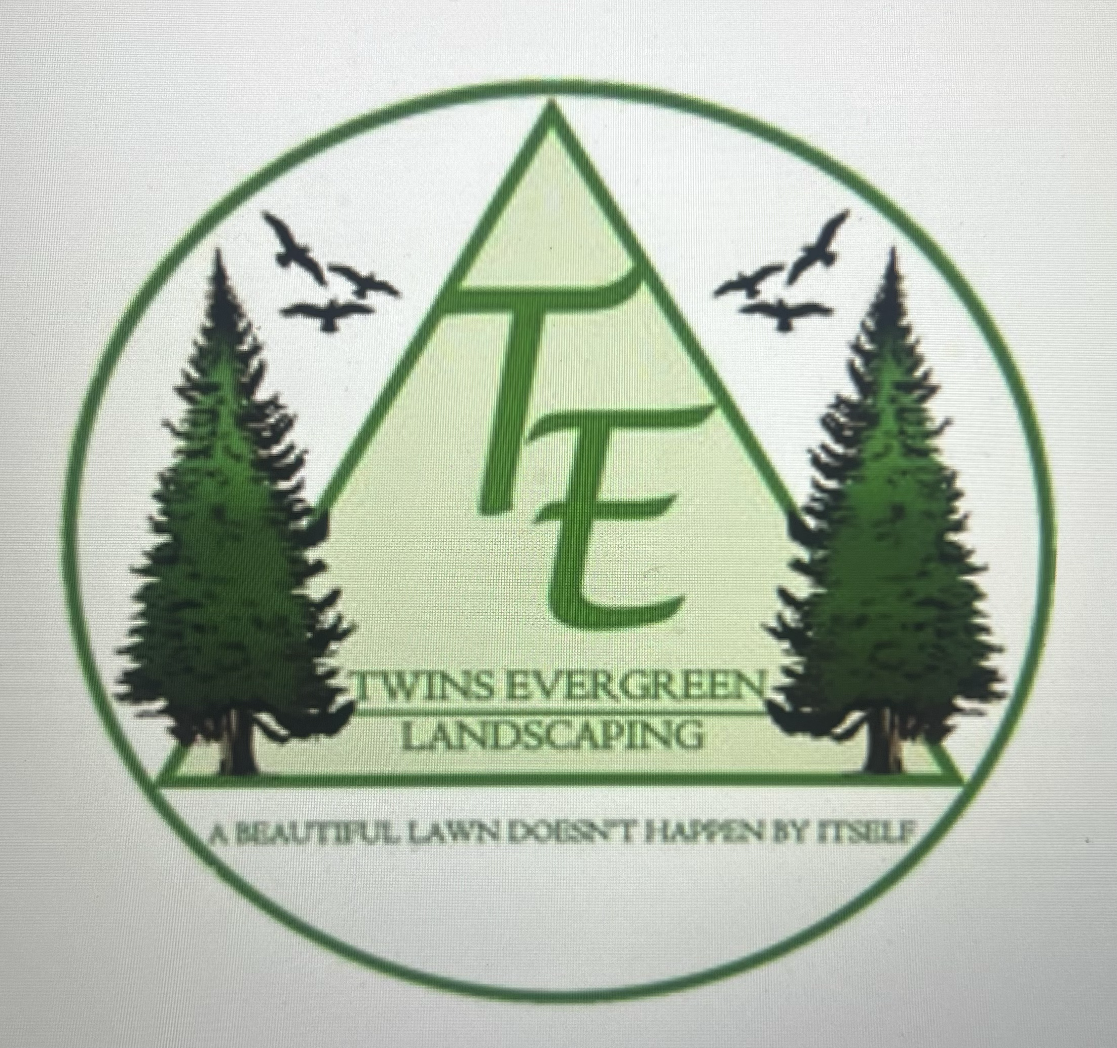 Avatar for Twins Evergreen Landscaping