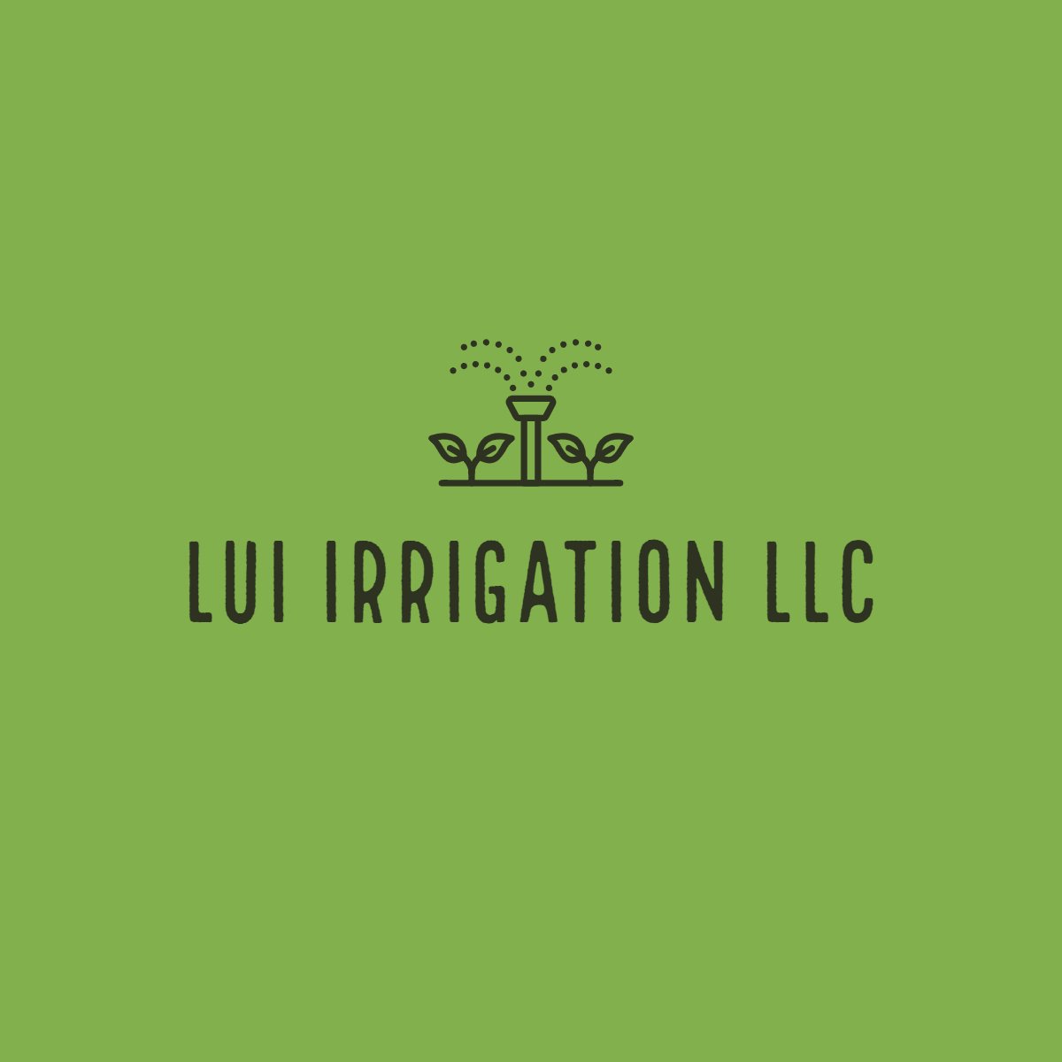 Avatar for Lui Irrigation LLC