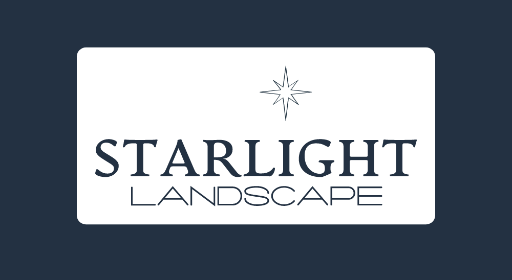 Avatar for Starlight Landscape