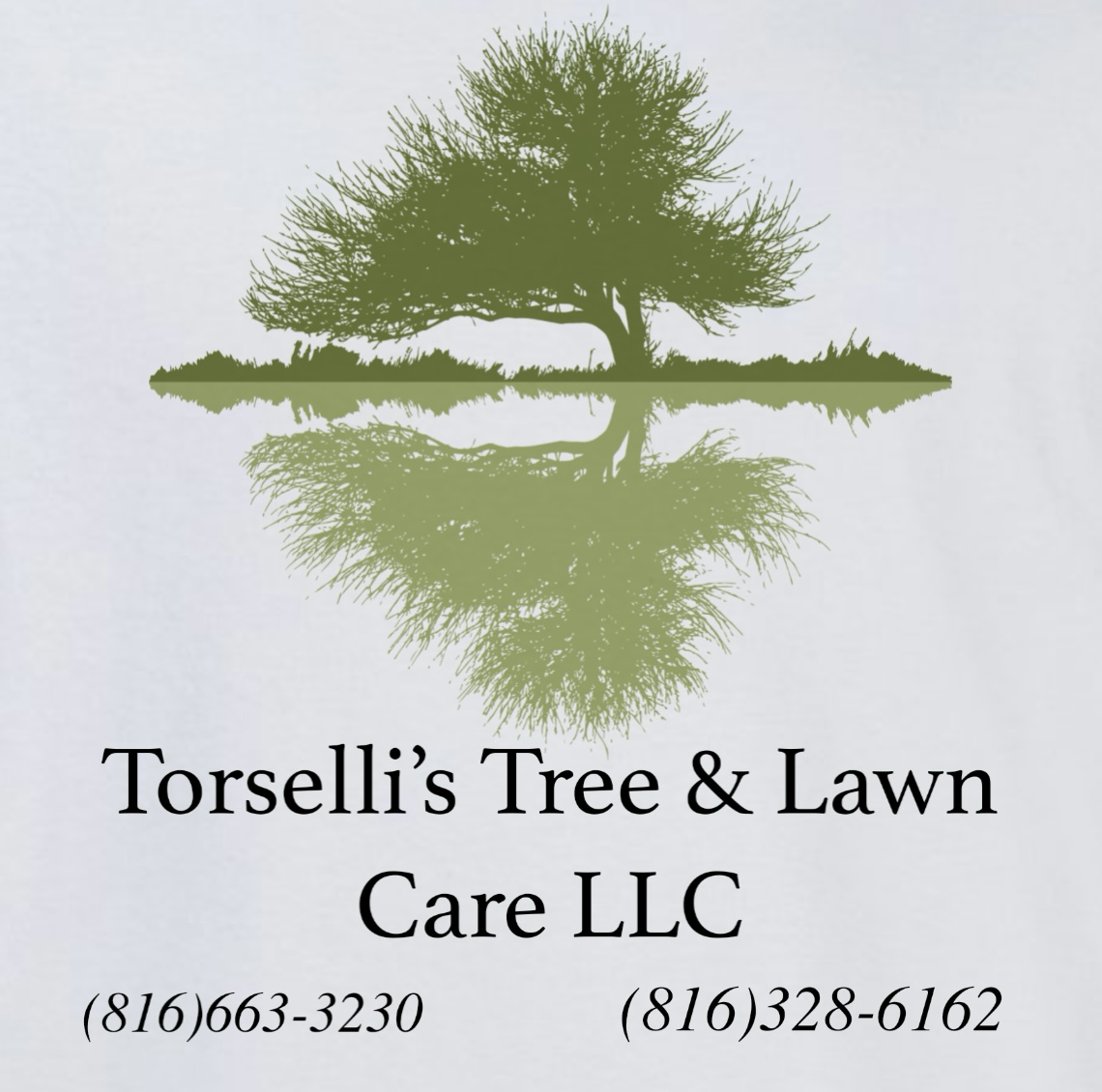 Avatar for Torsellis Tree & Lawn Care LLC