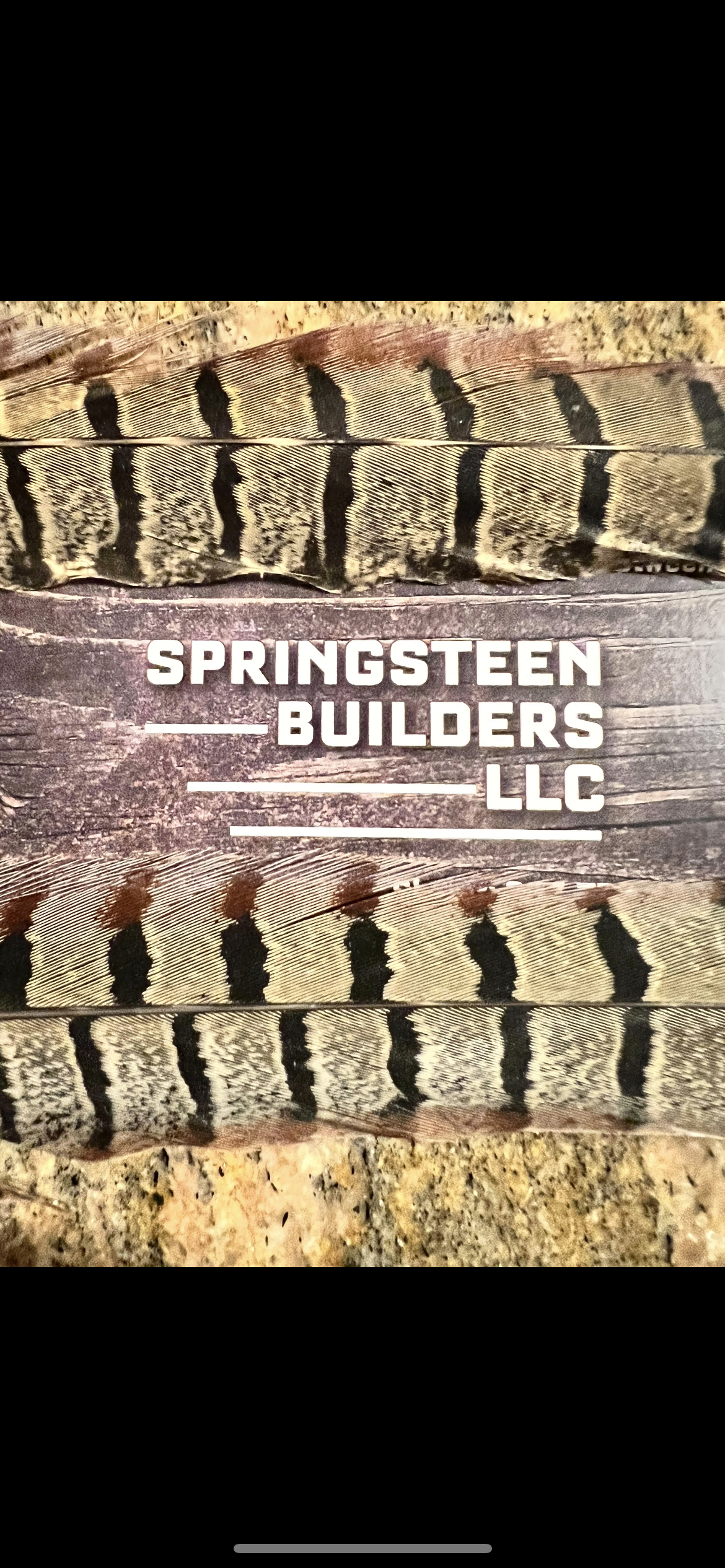 Avatar for Springsteen Builders LLC