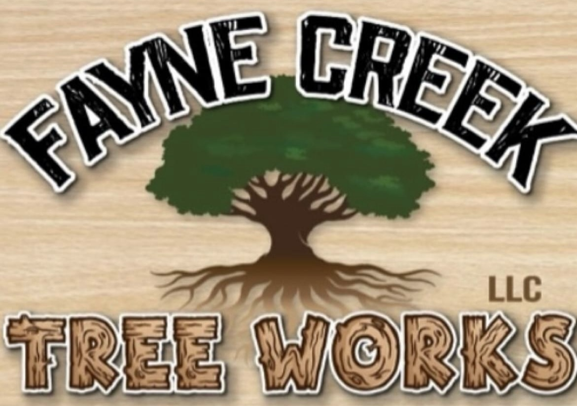 Avatar for Fayne Creek Tree Works