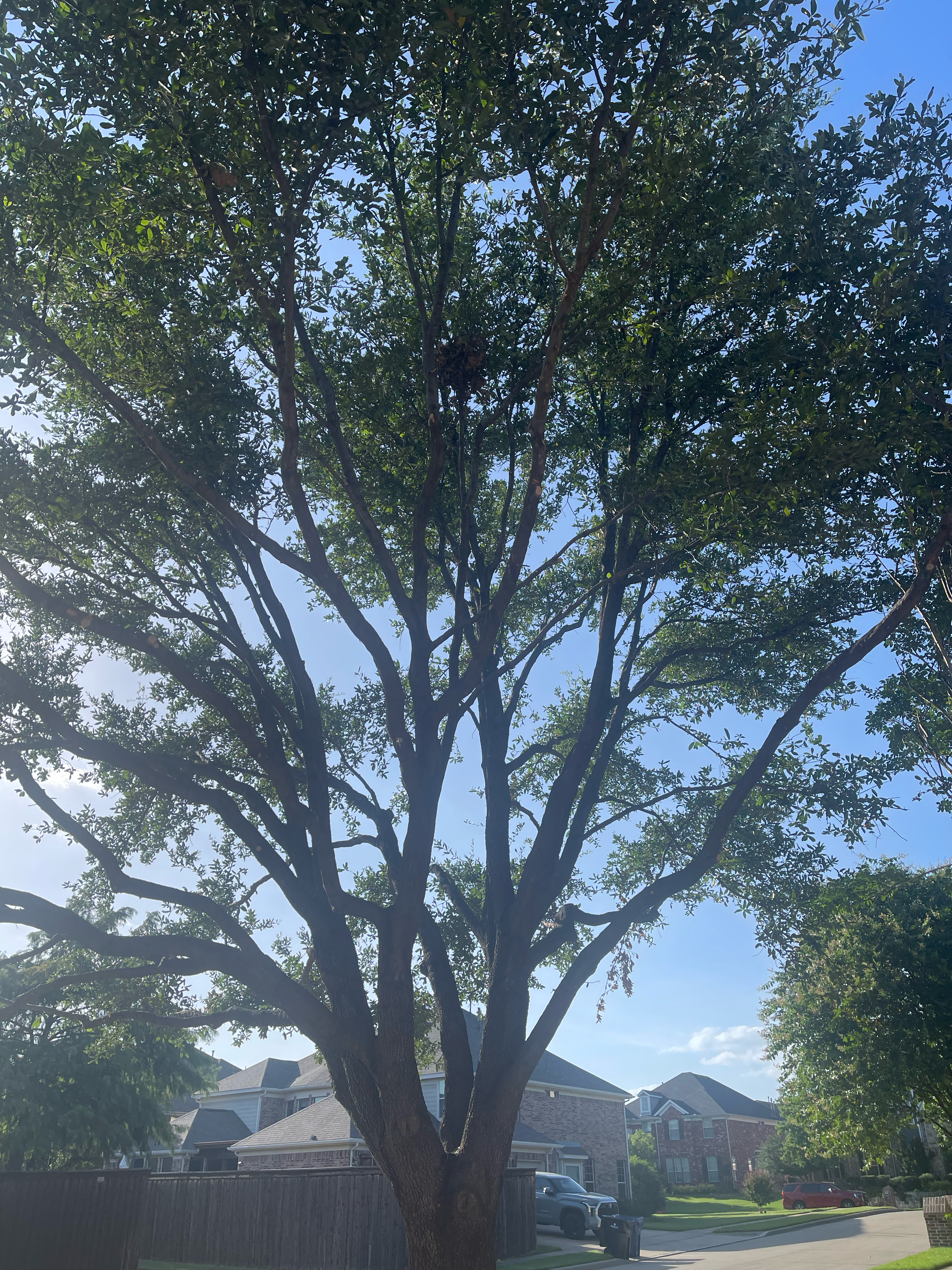 Avatar for Valley Wide Tree Service