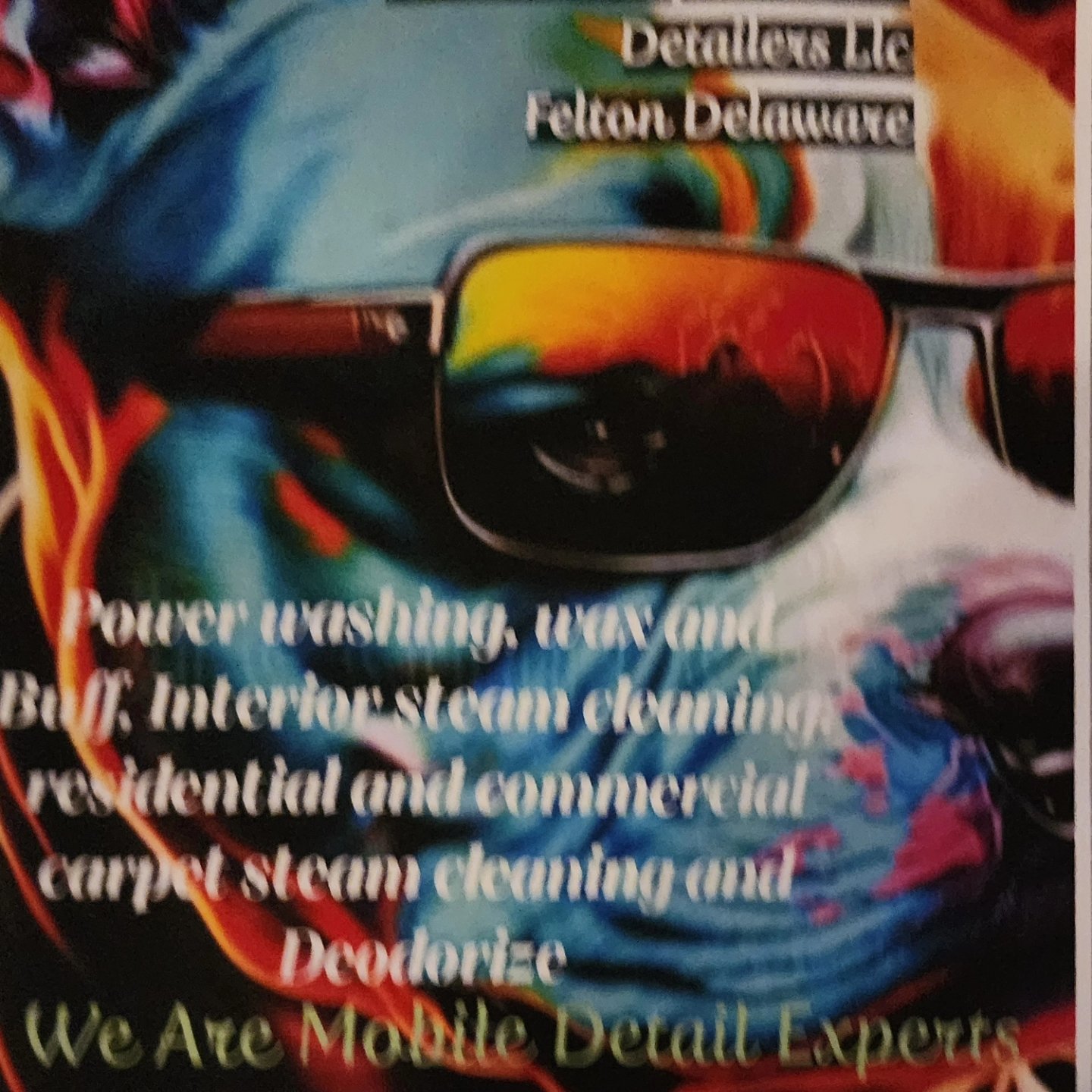 Avatar for Pitbull Enterprize Carpet Cleaning & Automobile Detailer LLC