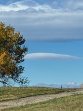 Avatar for Seriously Sparkling