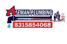 Avatar for Aleman plumbing, Inc