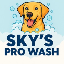 Avatar for Sky's Pro Wash
