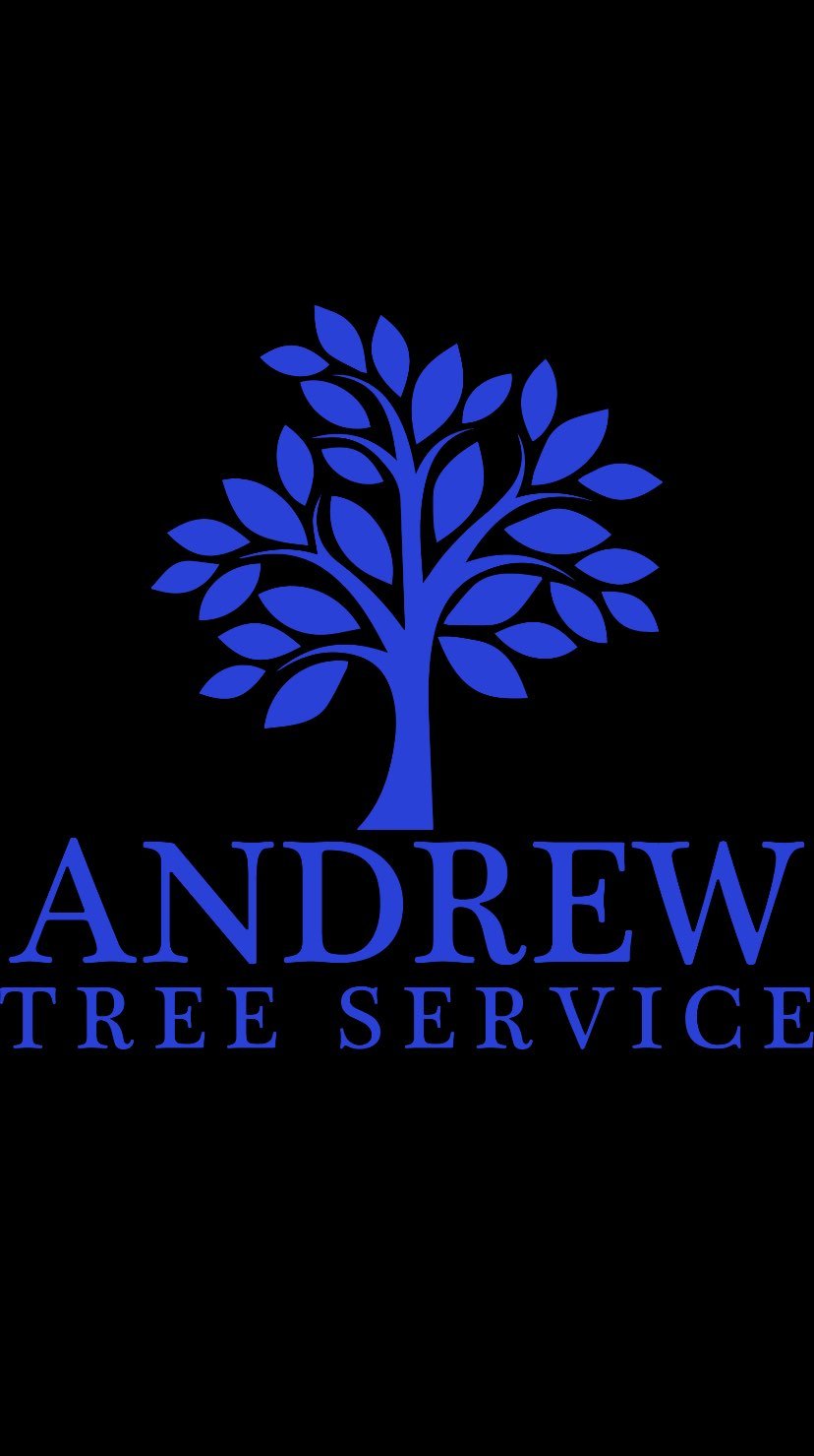 Avatar for Andrew Tree Service
