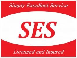 Logo for SES Enterprises LLC