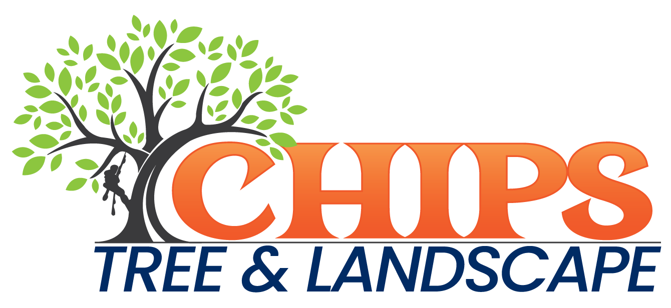 Avatar for Chip Off The Old Block