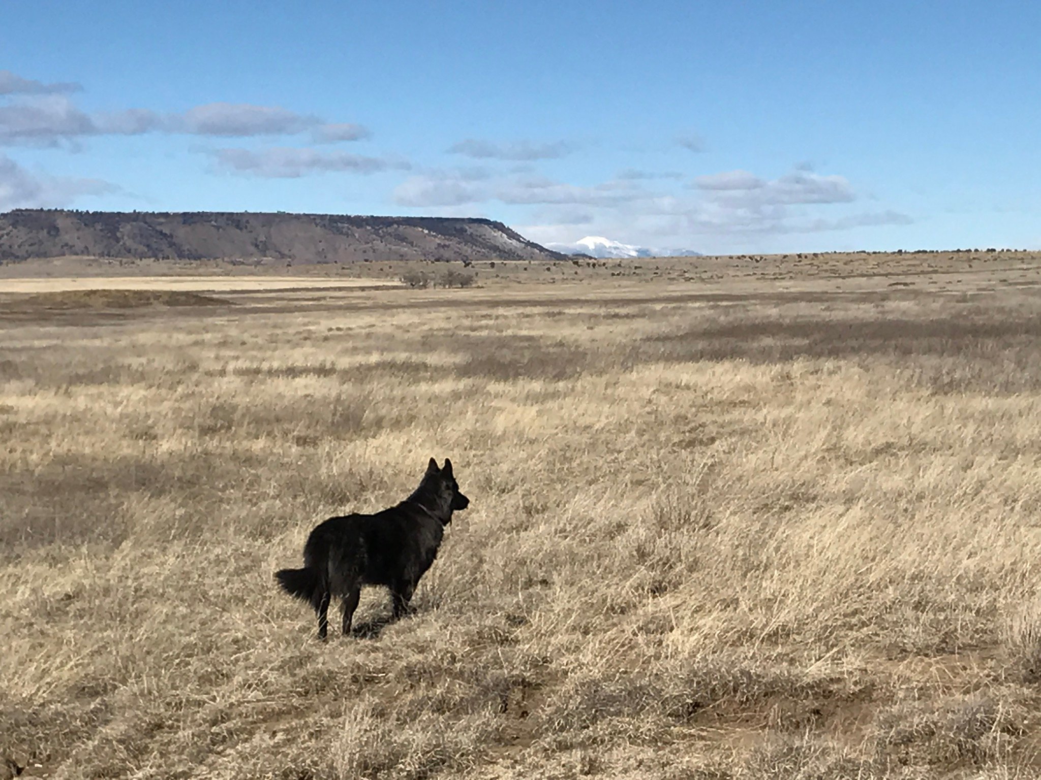 Avatar for 2 Educated Guys