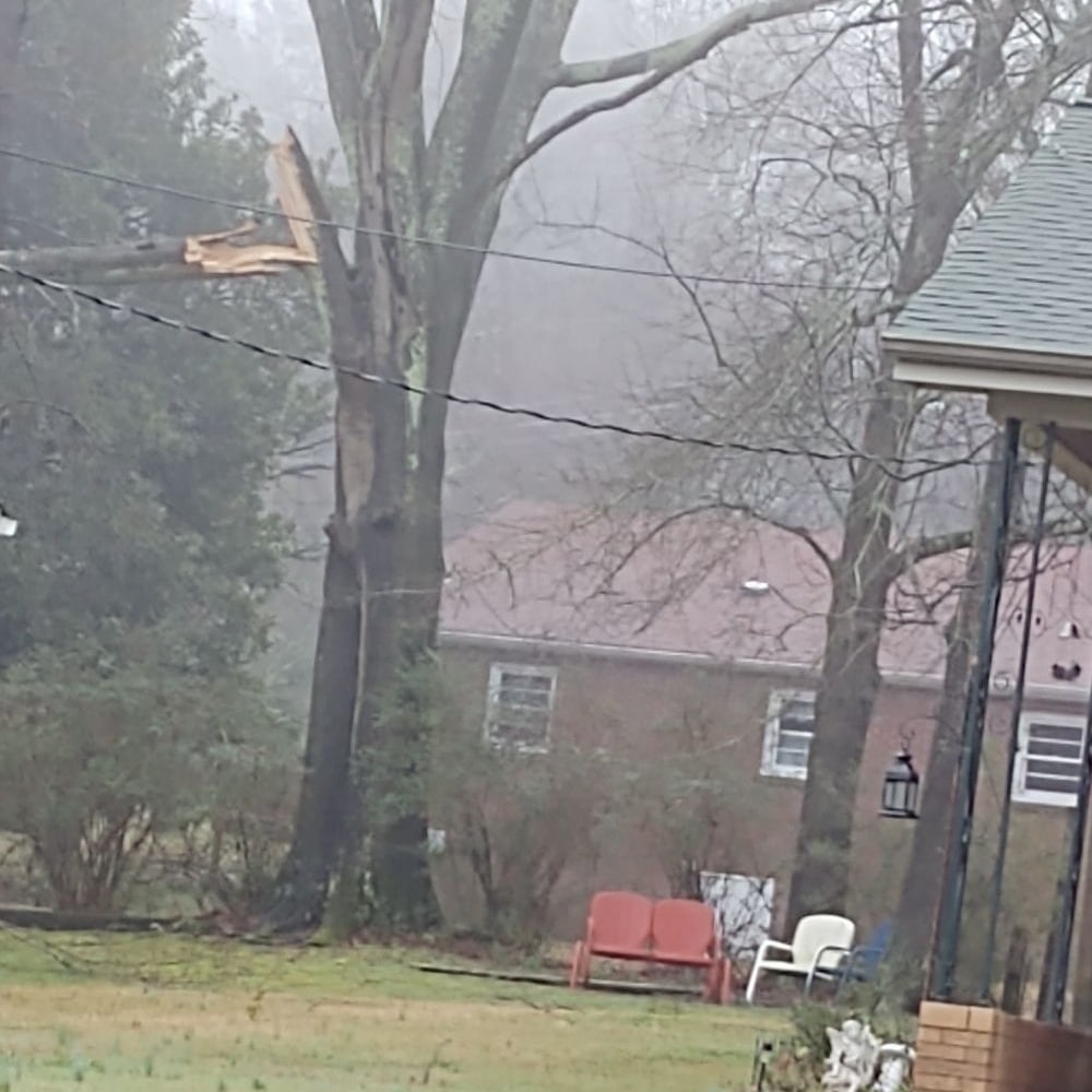 Avatar for AAA Union Tree Service & Stump Removal