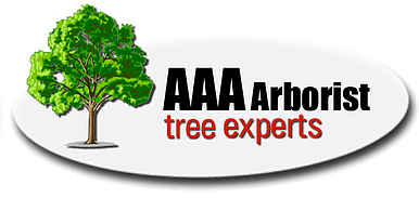 Avatar for AAA Arborist Tree Experts
