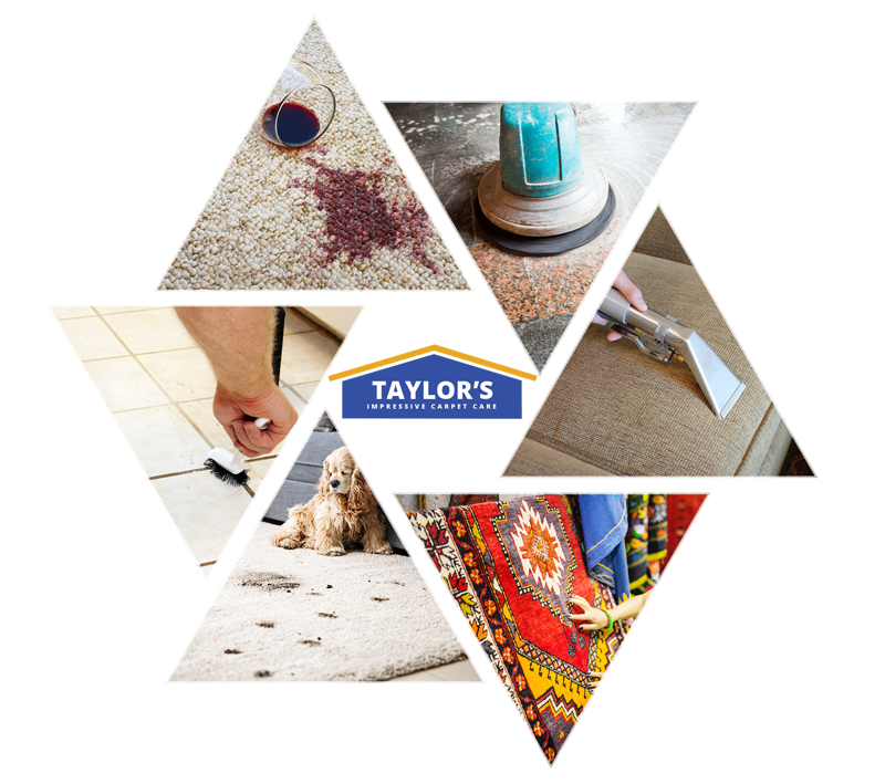 Avatar for Taylor's Impressive Carpet Service