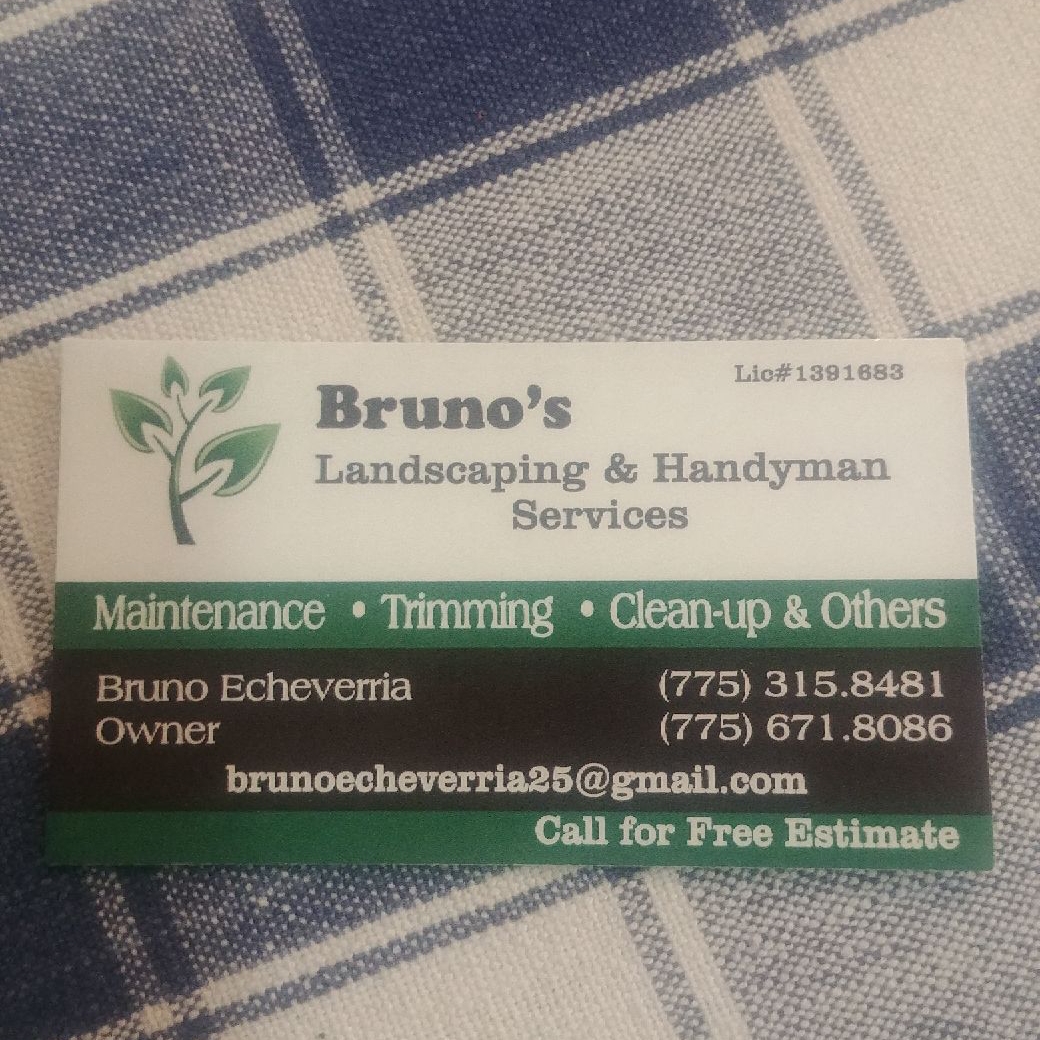 Avatar for Bruno's Landscaping & Handyman Services