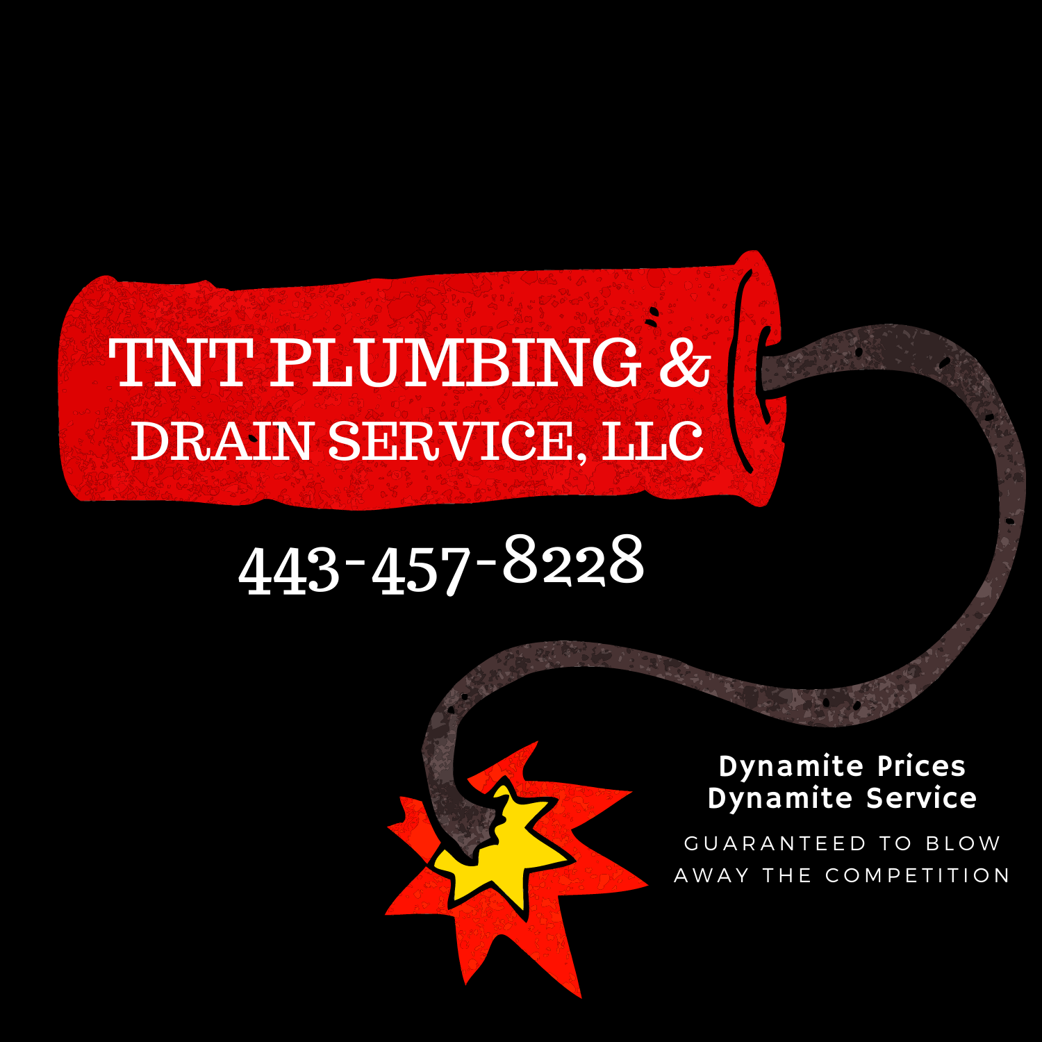 Avatar for TNT Plumbing & Drain Service, LLC