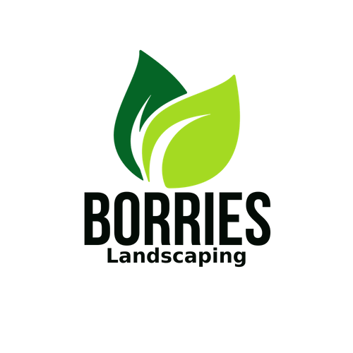 Logo for Borries Landscaping LLC