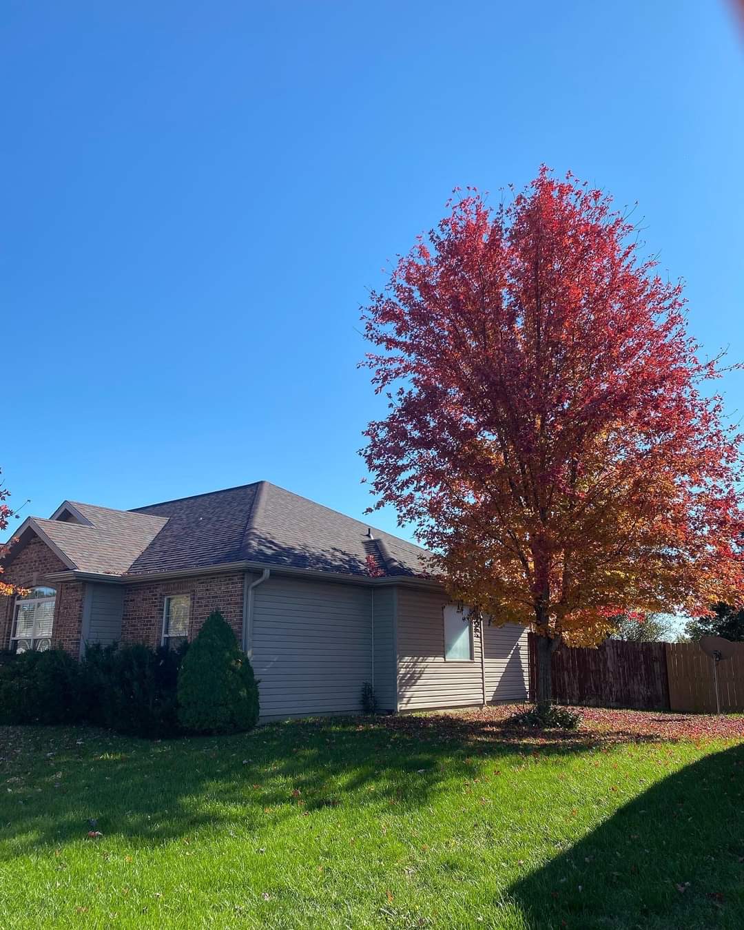 Avatar for TAPS Exteriors