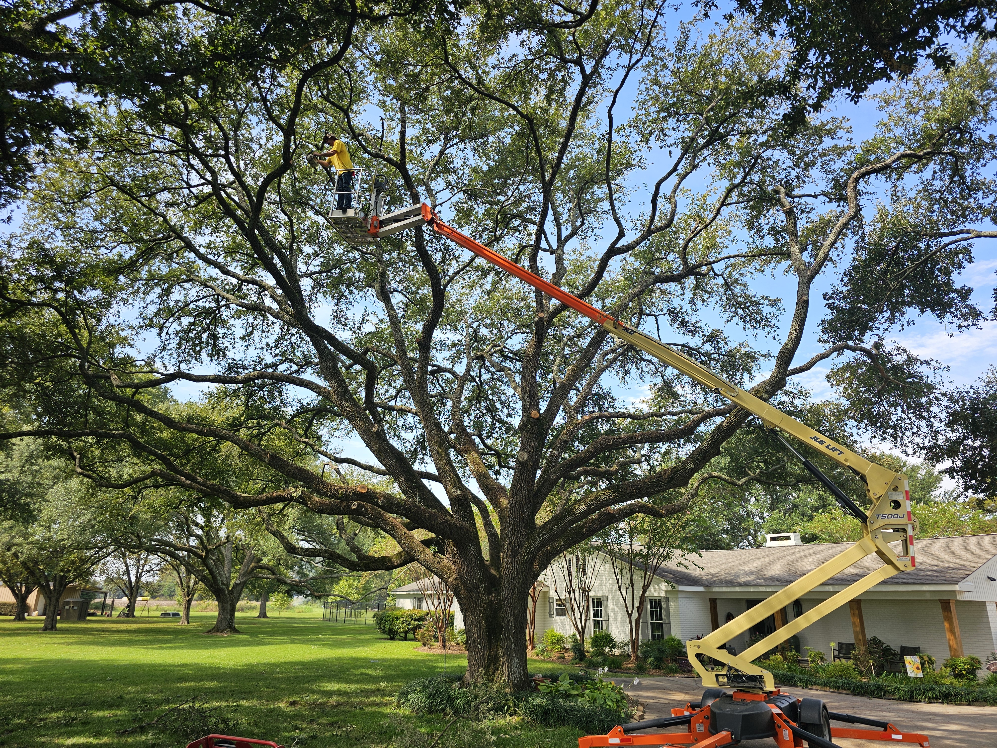Logo for Briley Tree Service