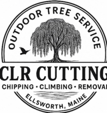 Avatar for CLR Cutting LLC