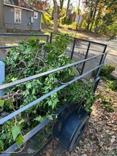 Avatar for Lee's Removal