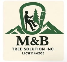 Avatar for M&B Tree Solution Inc.