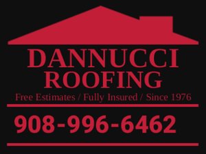 Avatar for Dannucci Roofing Company Inc