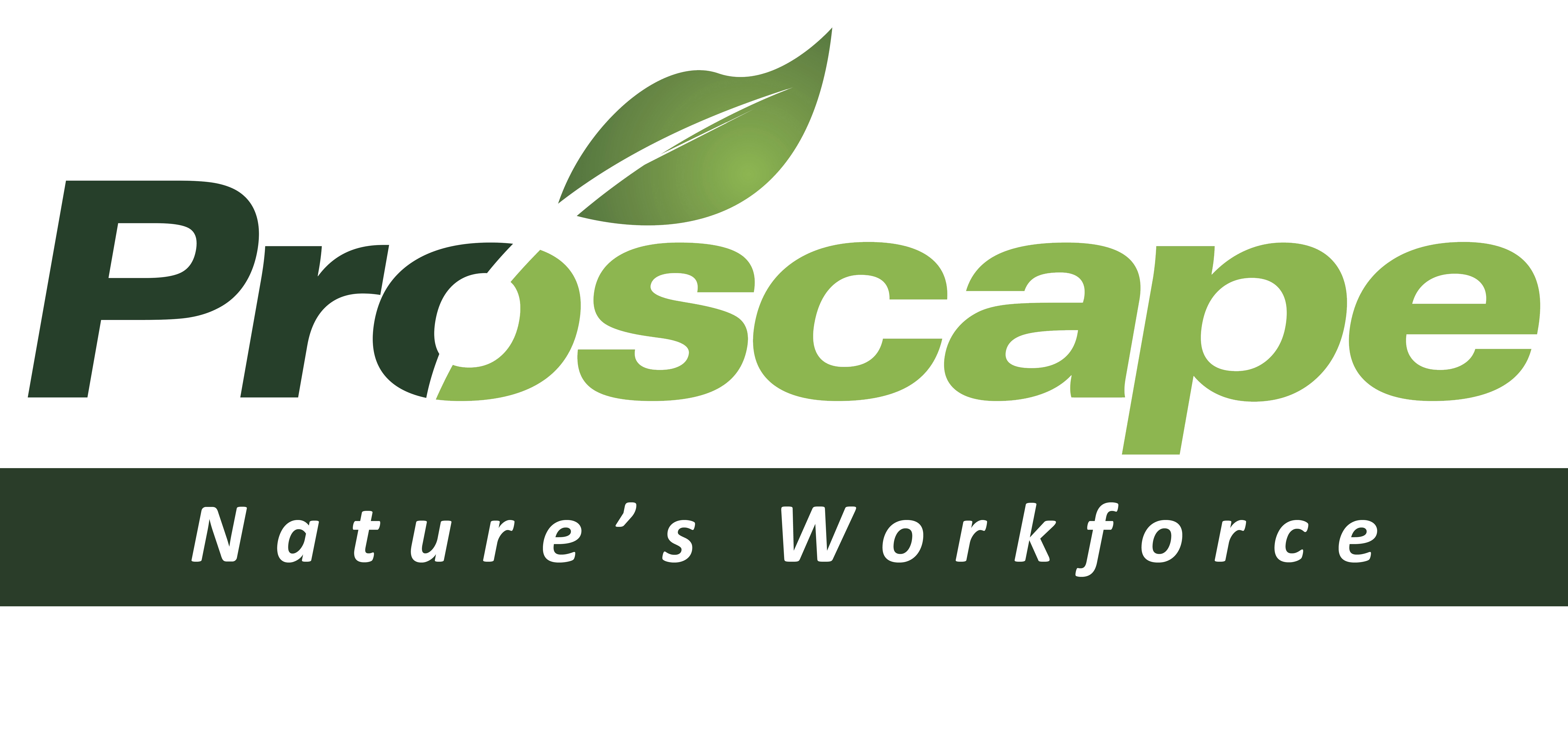 Avatar for PROSCAPE LANDSCAPE