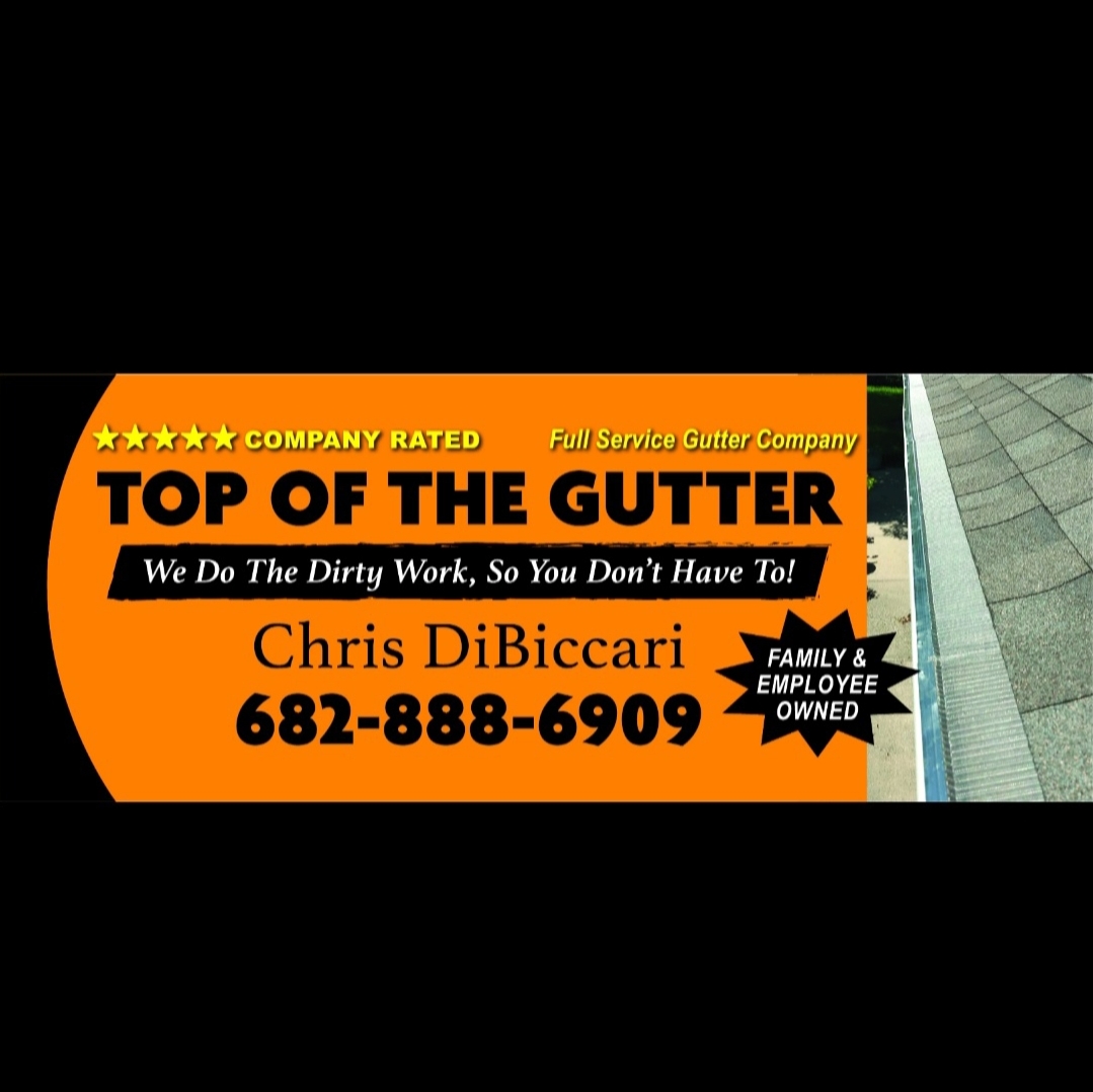 Avatar for Top of the Gutter