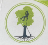 Avatar for Salazar and Sons INC