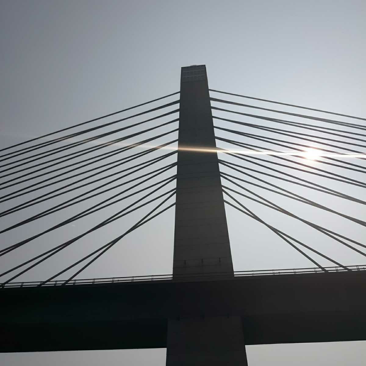 Avatar for Carmichael Electric