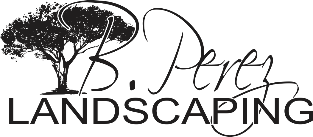 Avatar for B. Perez Landscaping