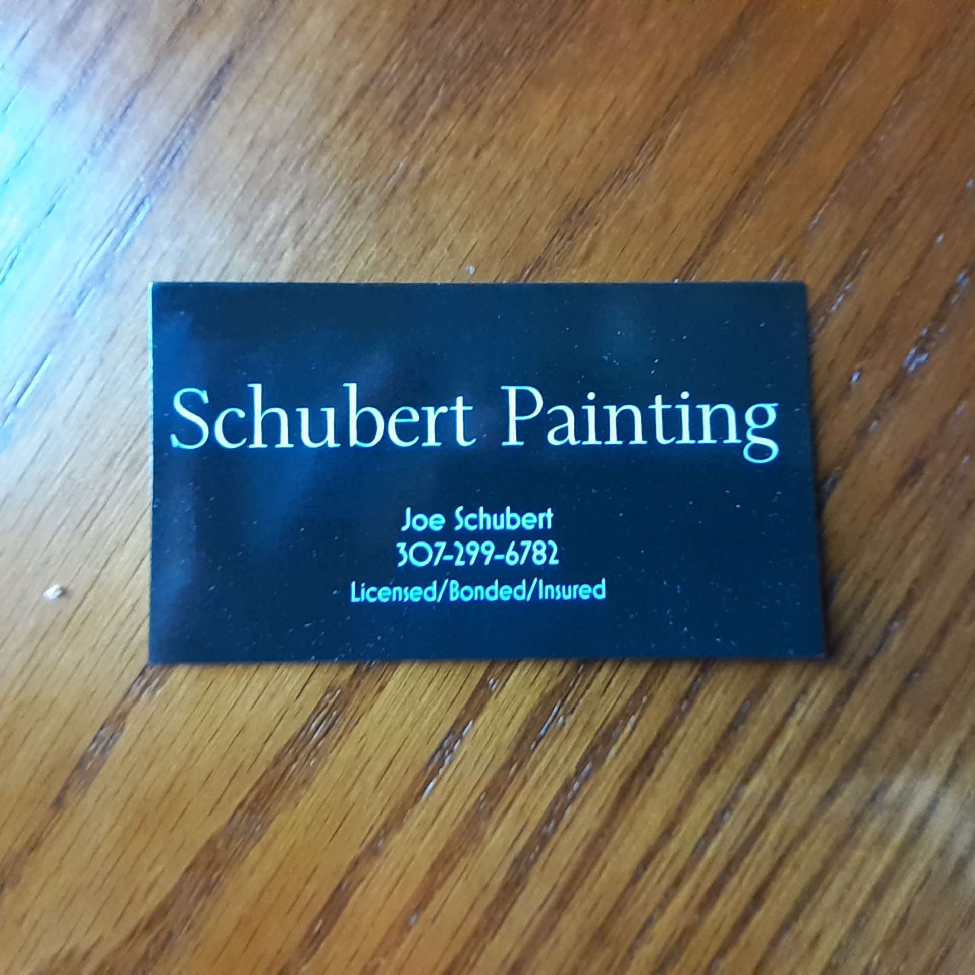 Logo for Schubert Painting