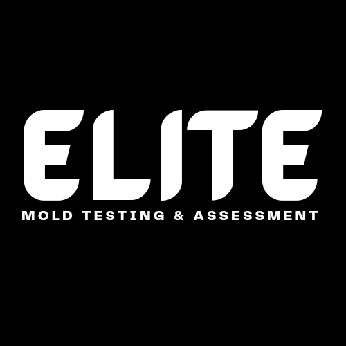 Avatar for Elite Mold Testing & Assessment