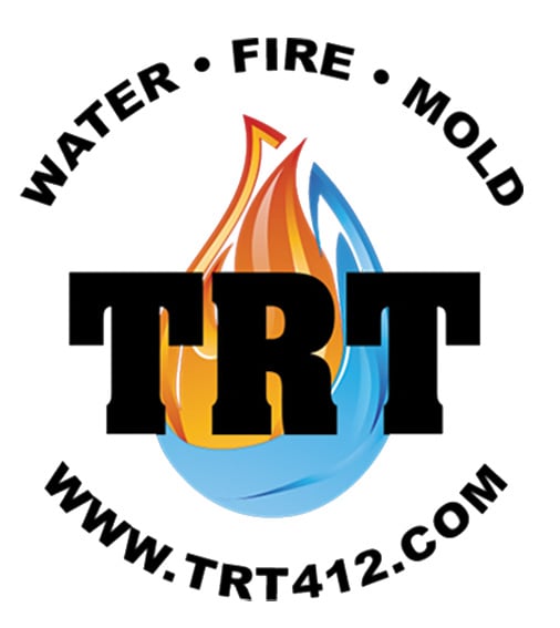 Avatar for The Restoration Team