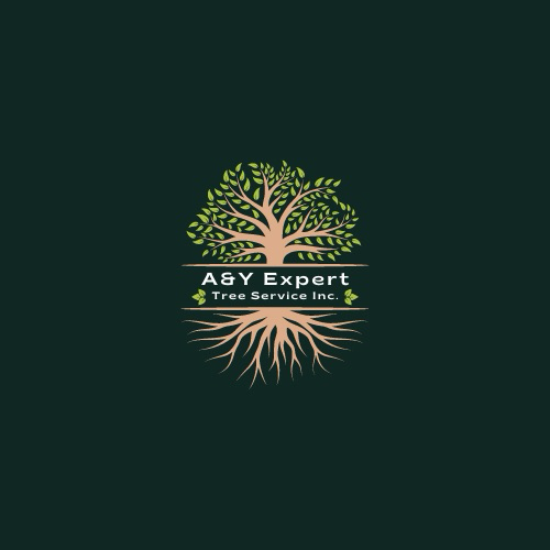 Avatar for A&Y Expert Tree Service Inc