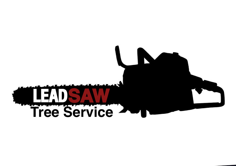 Avatar for Lead saw tree service