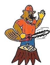 Avatar for Certified Tree Service, LLC
