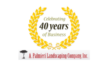 Avatar for A Palmieri Landscaping Company Inc.