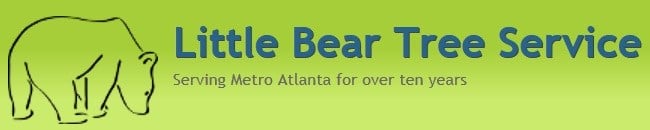 Avatar for LITTLE BEAR TREE SERVICE