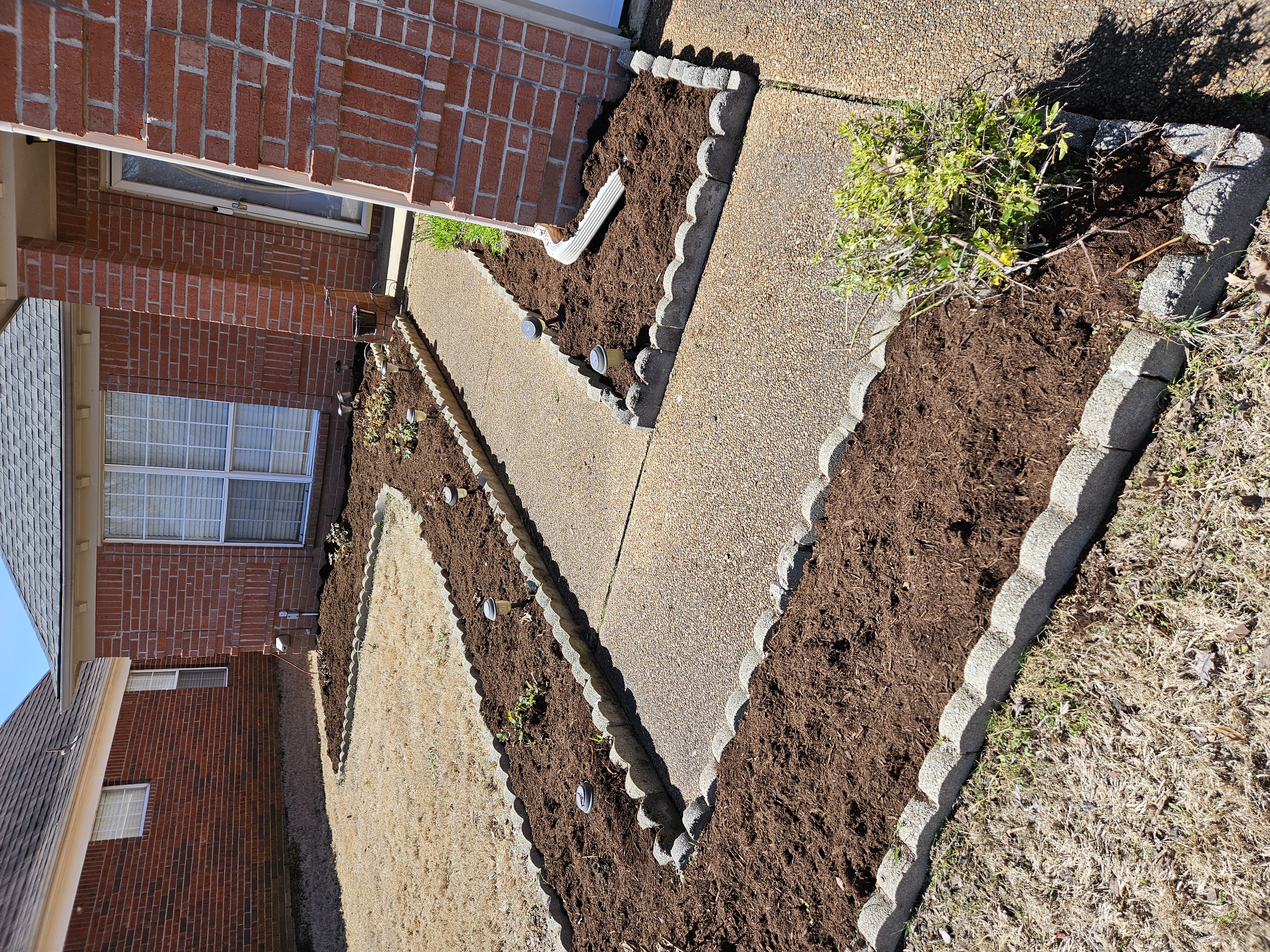 Avatar for The Yard Guy