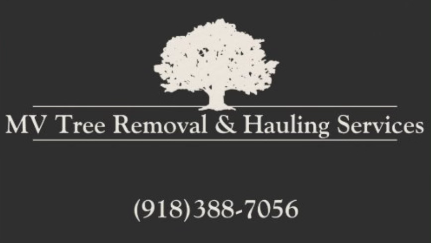 Avatar for MV Tree Removal & Hauling Services