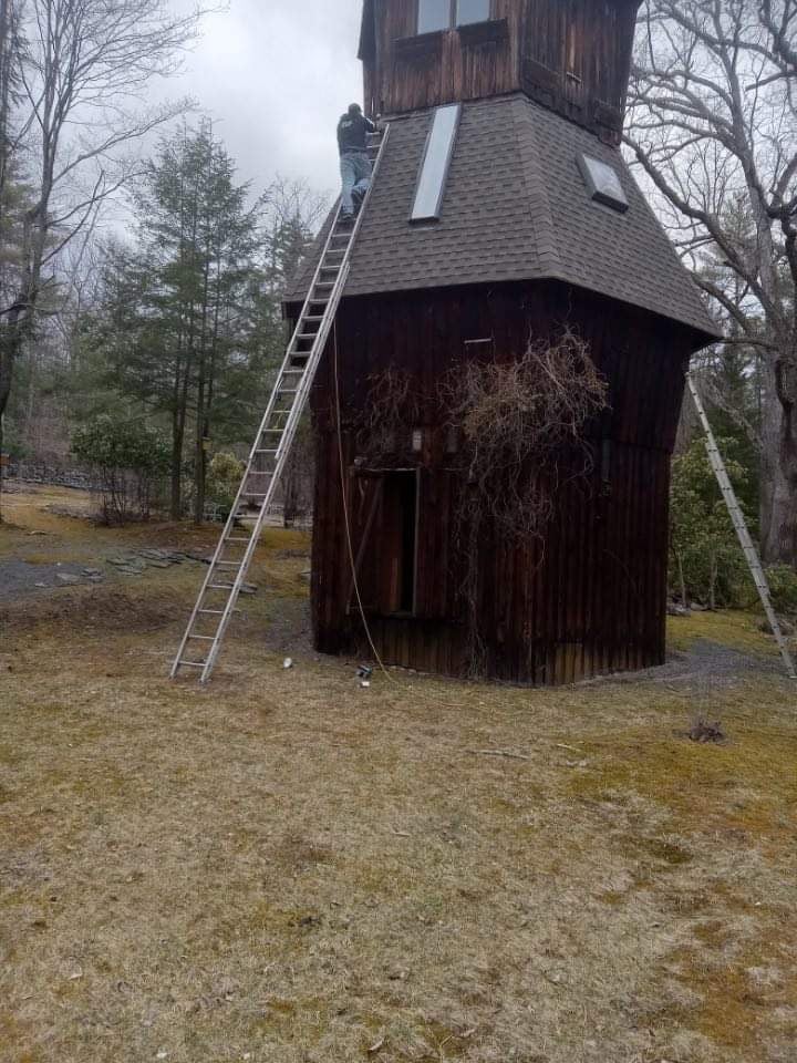 Avatar for Eco Mouse