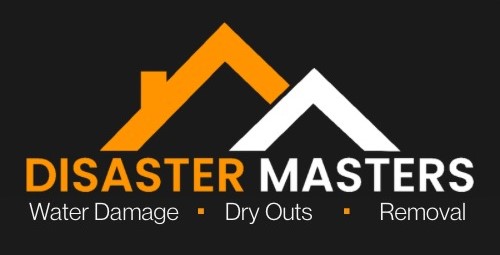 Avatar for Disaster Masters SW Company