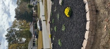 Avatar for Landscaping Services