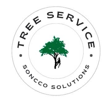 Avatar for Soncco Solutions