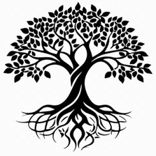 Avatar for Best Wood Flooring Design
