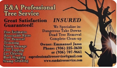 E&A Professional Tree Service logo