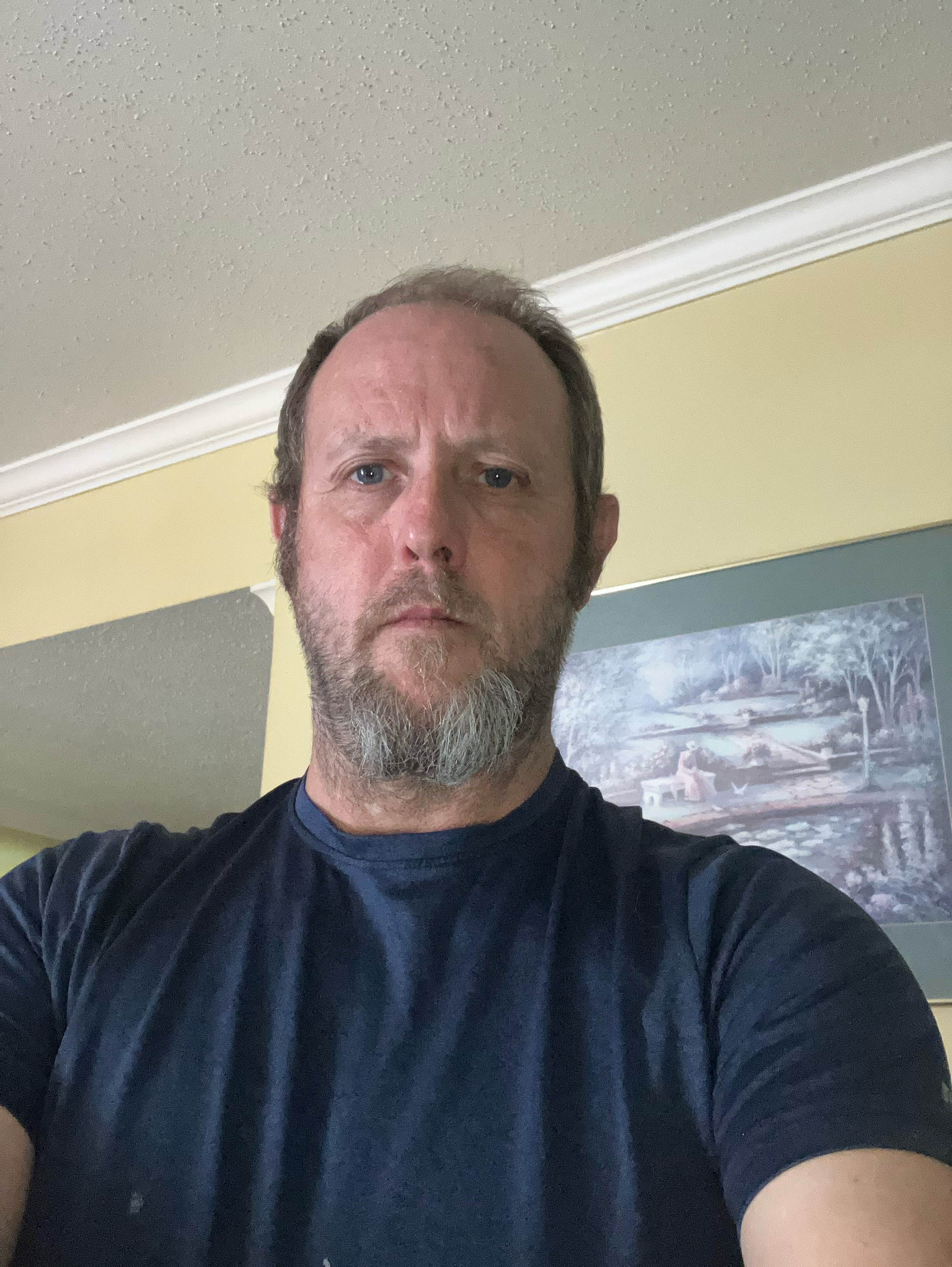 Avatar for Robbins nest construction