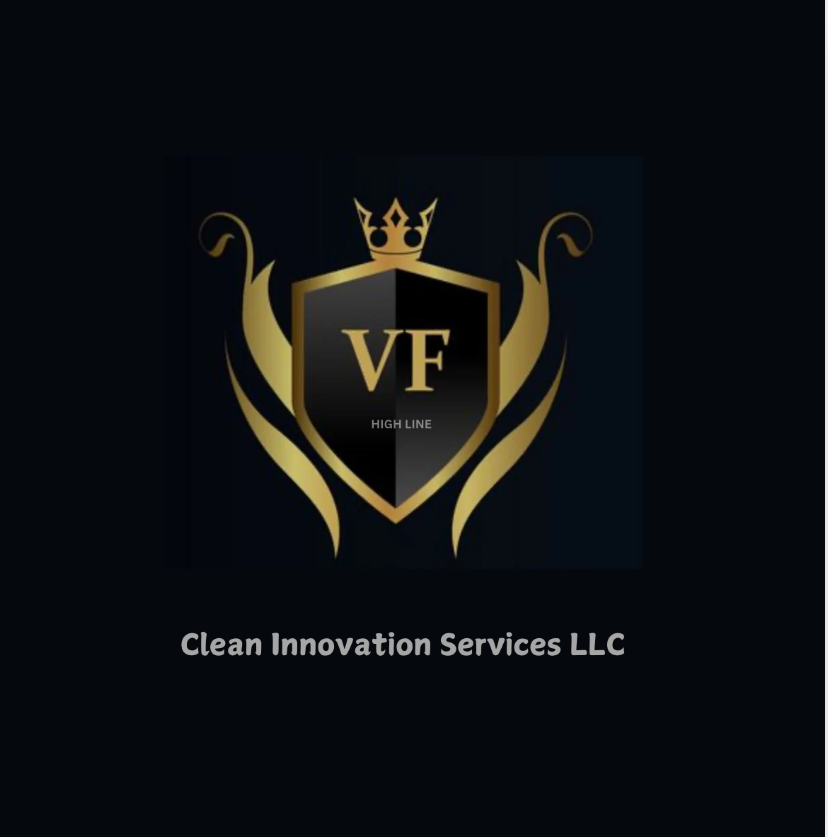 Avatar for VF Clean Innovation Services